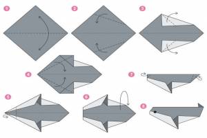 usermodel-1